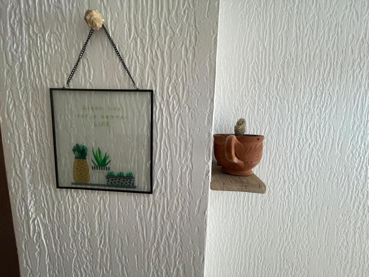 We Surf Morocco Boutique House Hostel Taghazout Ngoại thất bức ảnh