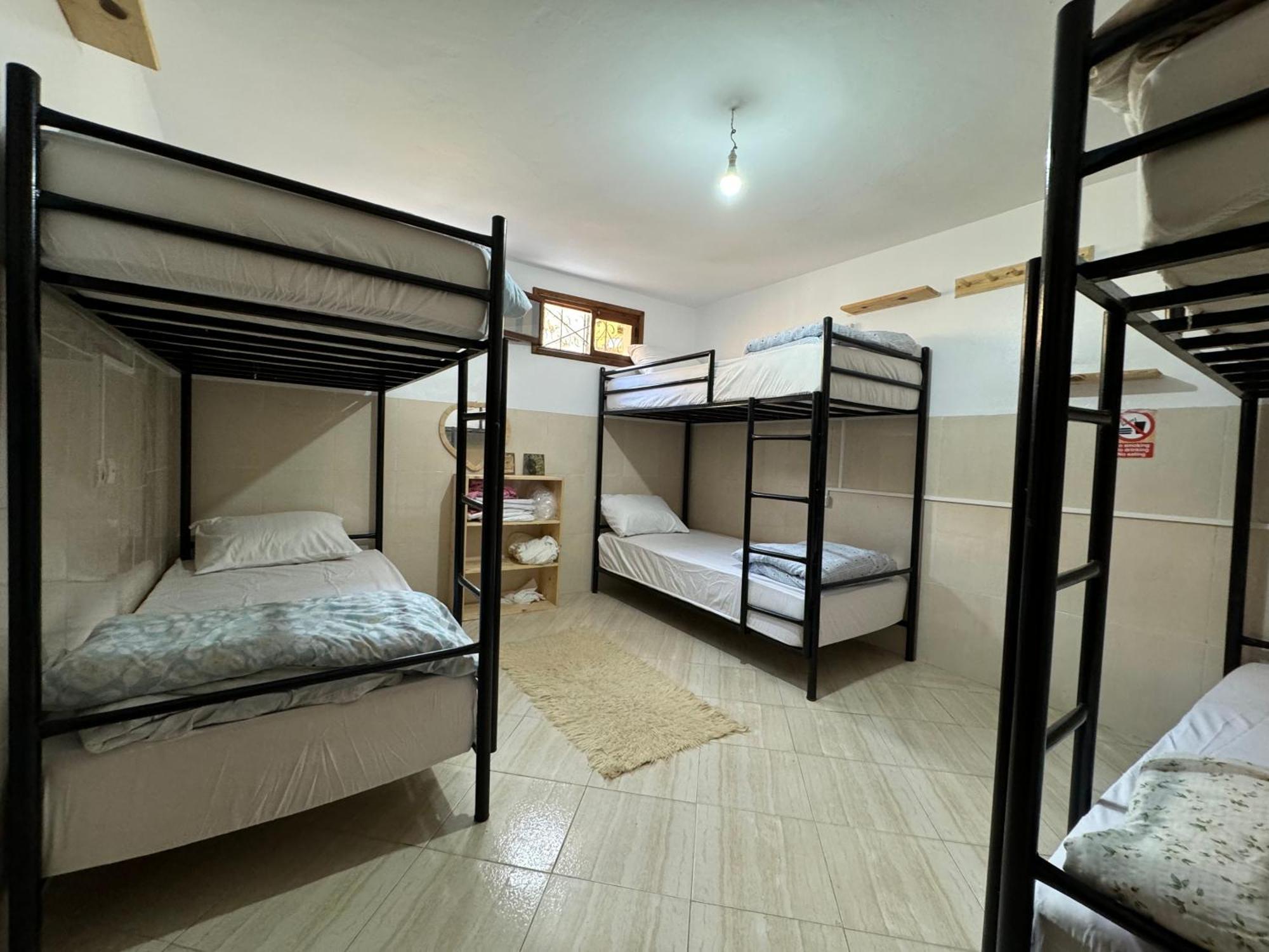 We Surf Morocco Boutique House Hostel Taghazout Ngoại thất bức ảnh